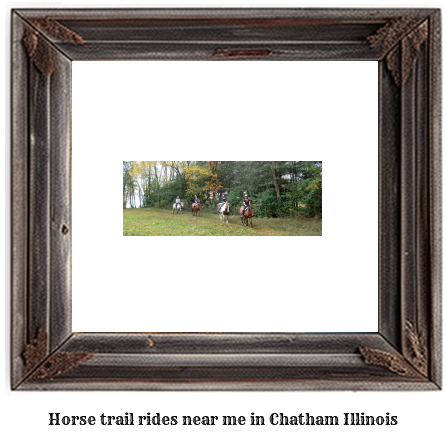 horse trail rides near me in Chatham, Illinois